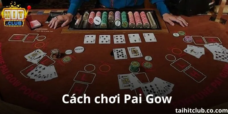 Cách chơi Pai Gow đơn giản, dễ hiểu cho người mới 2025